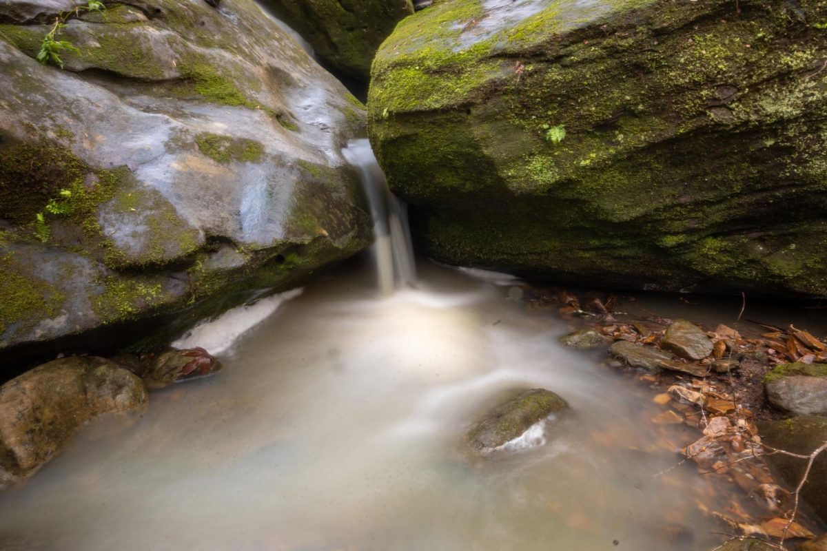 Water flows gently between moss-covered rocks at Jackson Falls in Simpson, Illinois. Captured in the days following heavy storms, the image is part of a photo essay by JALC Media Arts student Jaden Patterson, who turned his lens toward nature’s quiet resilience after nearly five inches of regional rainfall.